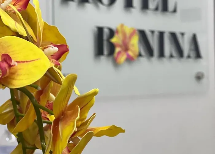 Hotel Bonina